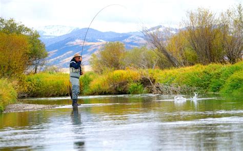 fly fishing bozeman mt|Premier Bozeman Fly Fishing Guide Service .